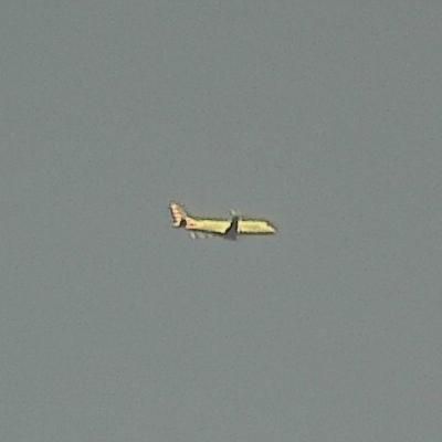 Best aircraft capture of A07BEF (confidence 1.00)