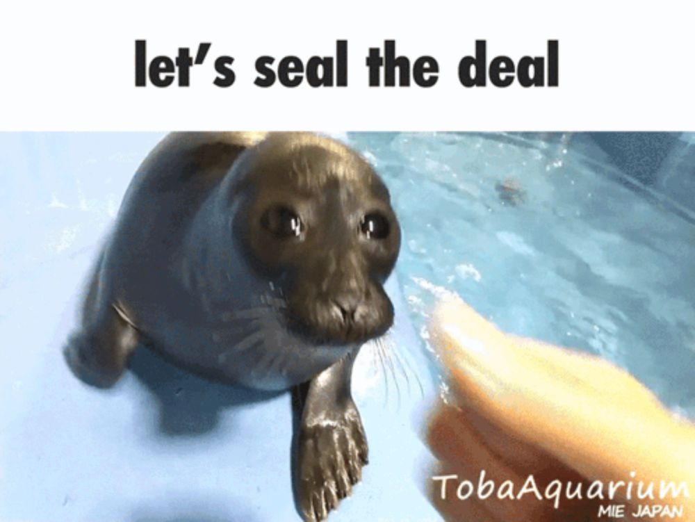 a picture of a seal that says let 's seal the deal on it