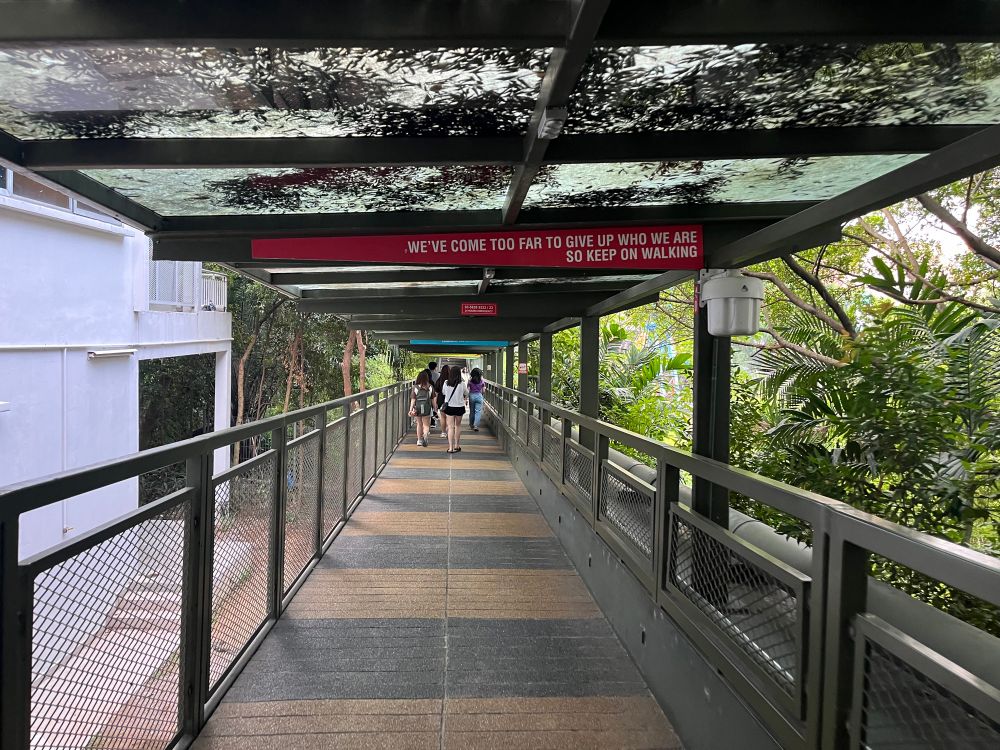 Canopy walk with inspiring sign