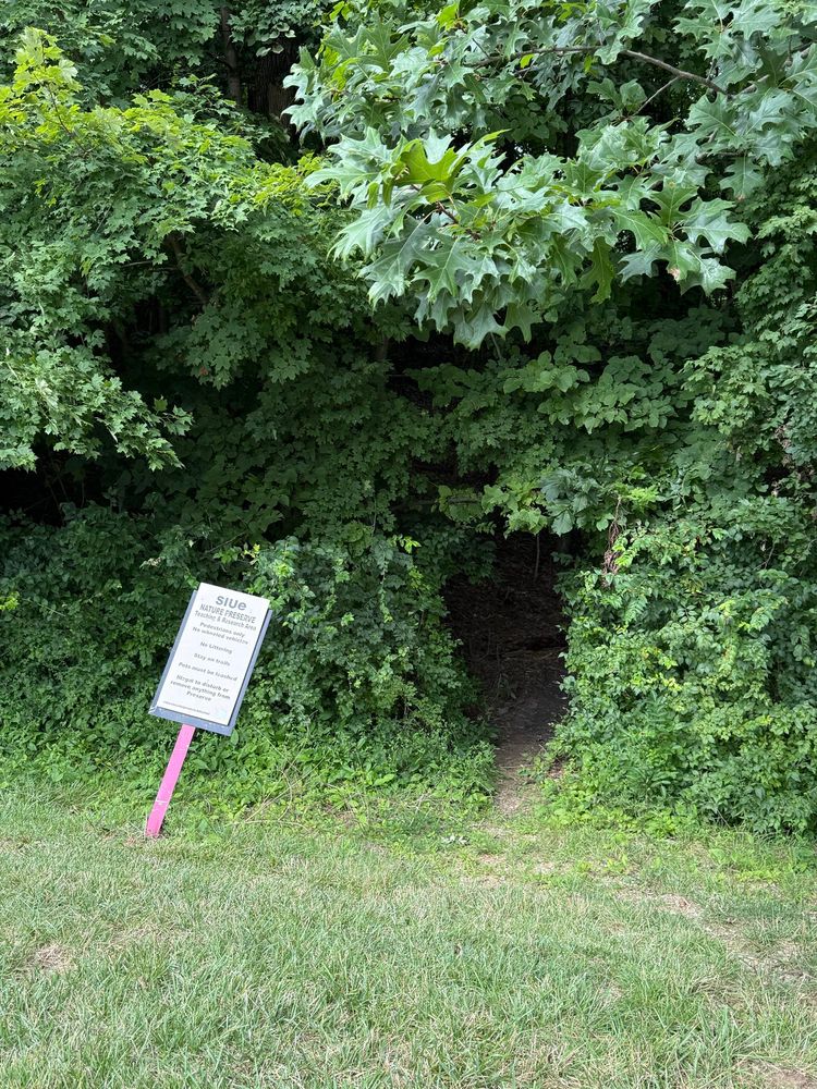 Small opening in a leafy wall of branches and vines next to a sign that reads “S I U E Nature Reserve”