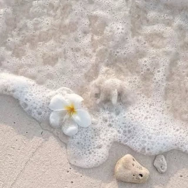 seafoam on sand