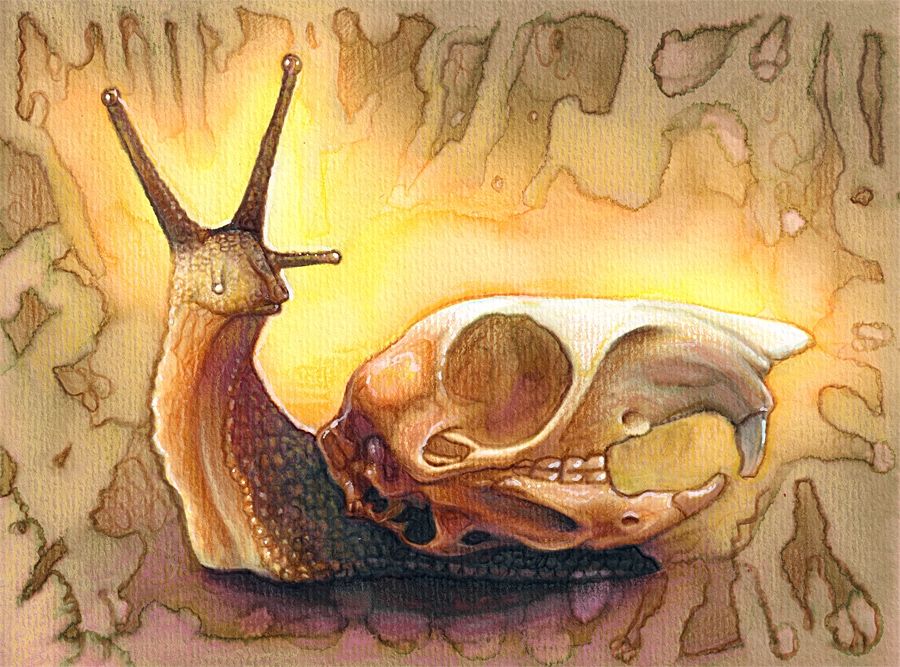 Traditional painting of a snail with a squirrel skull instead of a normal shell.