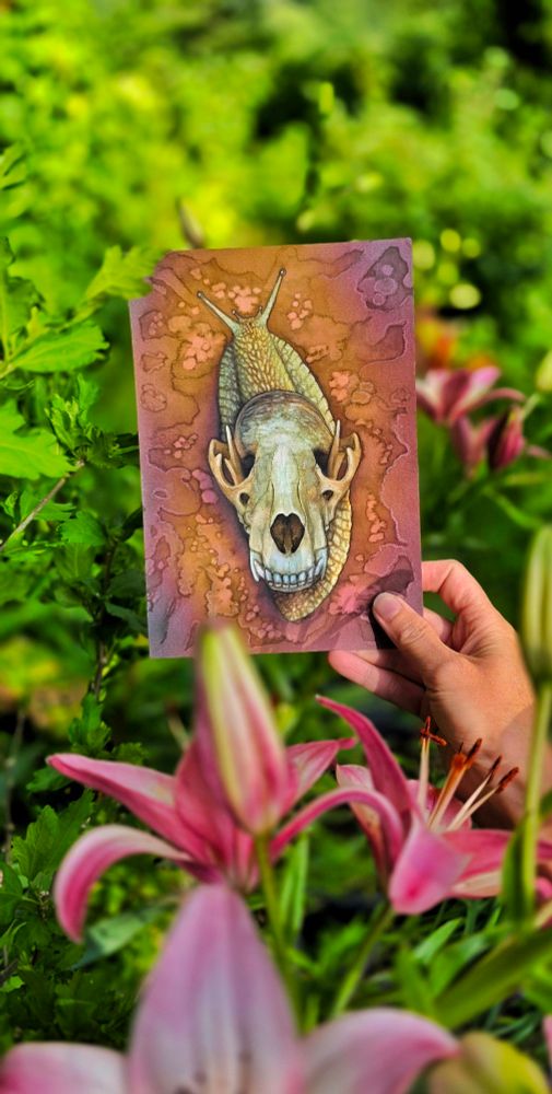 Photo of a hand holding a painting of a snail with a canine skull instead of shell in front of some pink lilies.