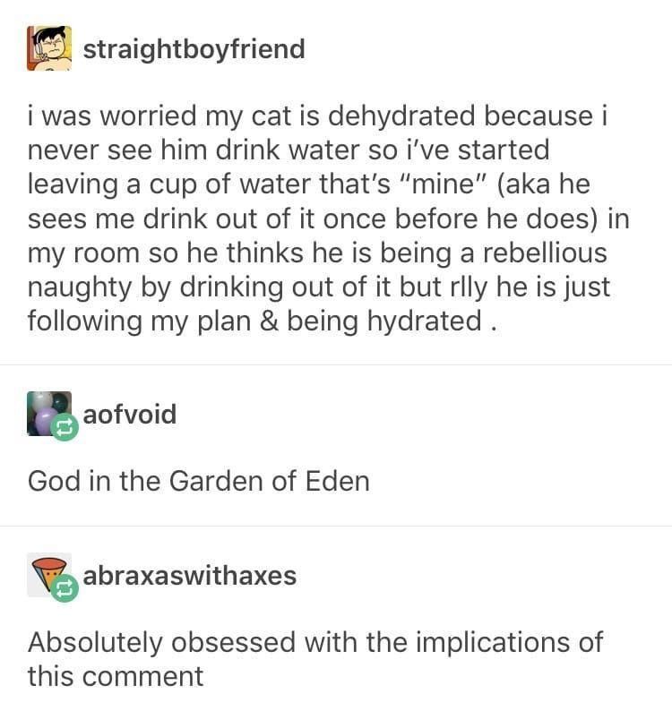 A screenshot of a tumblr exchange between three users that reads the following:

User Straightboyfriend: "I was worried my cat is dehydrated because I never see him drink water so I've started leavinga cup of water that's mine (aka he sees me drink out of it once before he does) in my room so he thinks he's being a rebellious naughty by drinking out of it but really he is just following my plan & being hydrated ."

User Aofvoid: "God in the Garden of Eden"

User Abraxaswithaxes: "Absolutely obsessed with the implications of this comment"