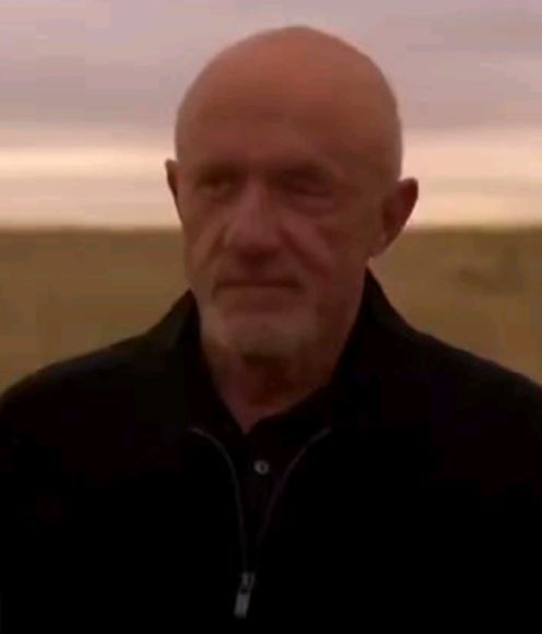 Mike "Finger" Ehrmentraut from Breaking Bad from the scene in the episode "Full Measure" when he says the line "Funny how words can be so open to interpretation".