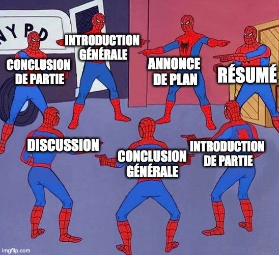 Meme des spider men qui se montrent du doigt. "Introduction générale ; annonce de plan ; résumé ; introduction de partie ; conclusion générale ; discussion ; conclusion de partie 