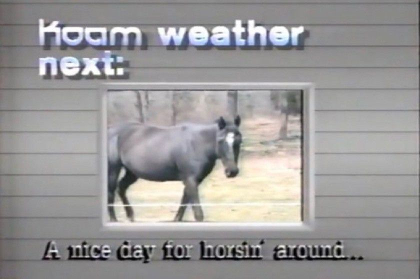 K O A M weather next:
(Still of a horse video)
“A nice day for horsin’ around…”