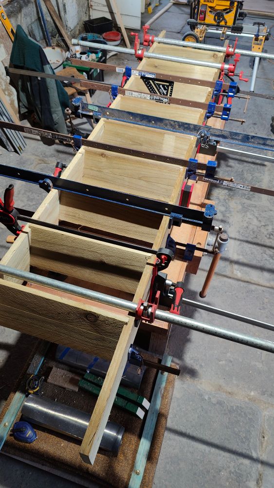 Fully cramped up straight flight of steps glued up. 17 cramps.
