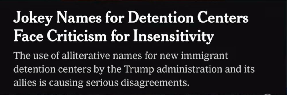 NYT headline reading “Jokey Names for Detention Center Face Criticism for Insensitivity”