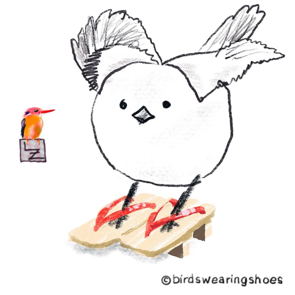 drawing of Japanese Shima Enaga, or snow fairy bird, from my instagram @birdswearingshoes. it is wearing zori, raised sandals with a red strap