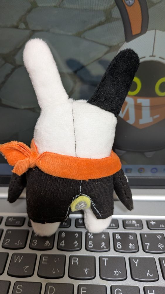ゼンゼロのイアス
手作りのぬいぐるみ(後ろ向き)