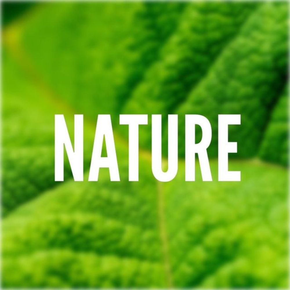 Nature (@nature) on Threads