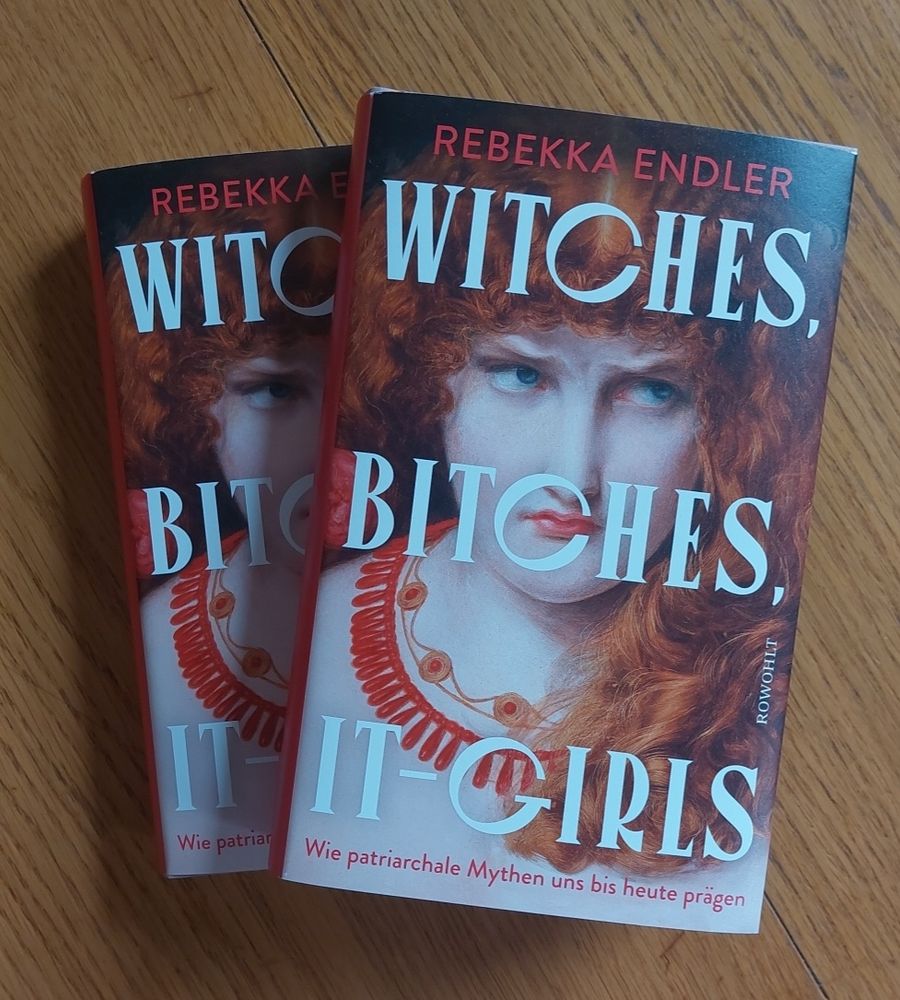 2 Exemplare Witches, Bitches, It-Girls Wie patriarchale Mythen uns bis heute prägen  auf einem Holz Untergrund. 