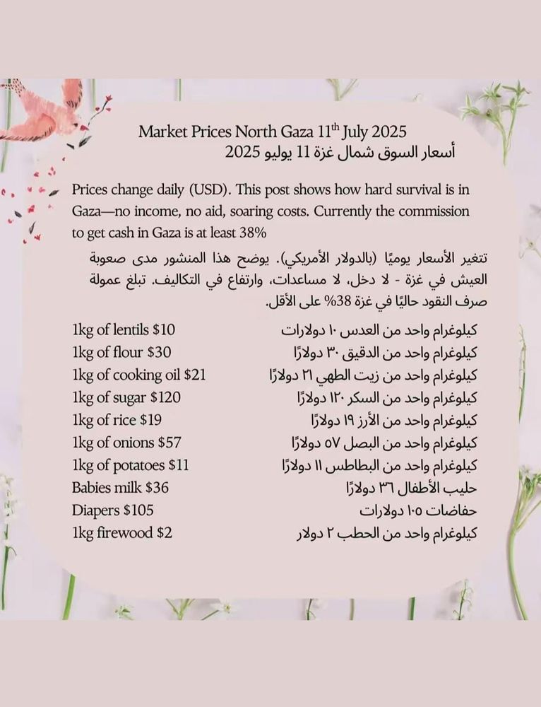 A list of grocery prices from North Gaza
