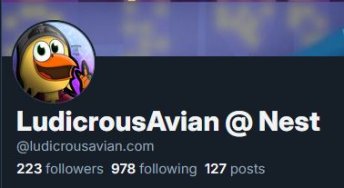 my profile but with a custom handle