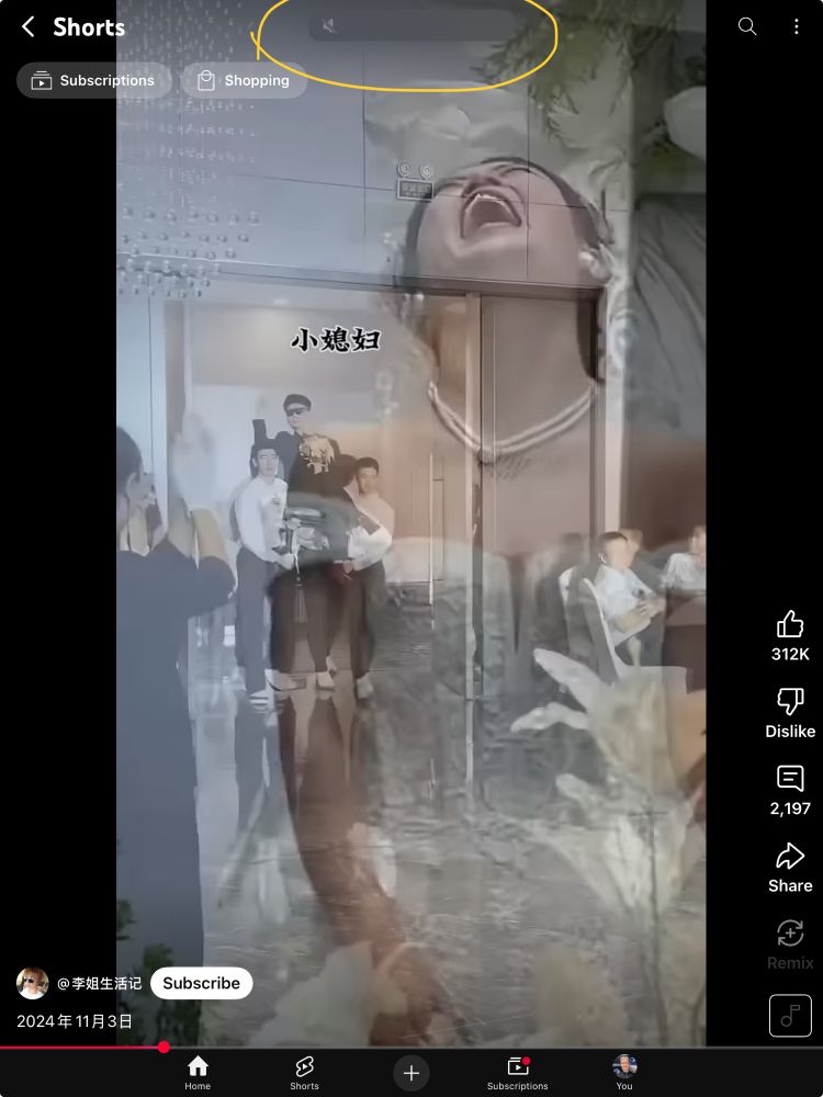 It’s just a screenshot with me circling that I’ve lowered the volume to zero because when I watch YouTube shorts, I always turn the volume off. 