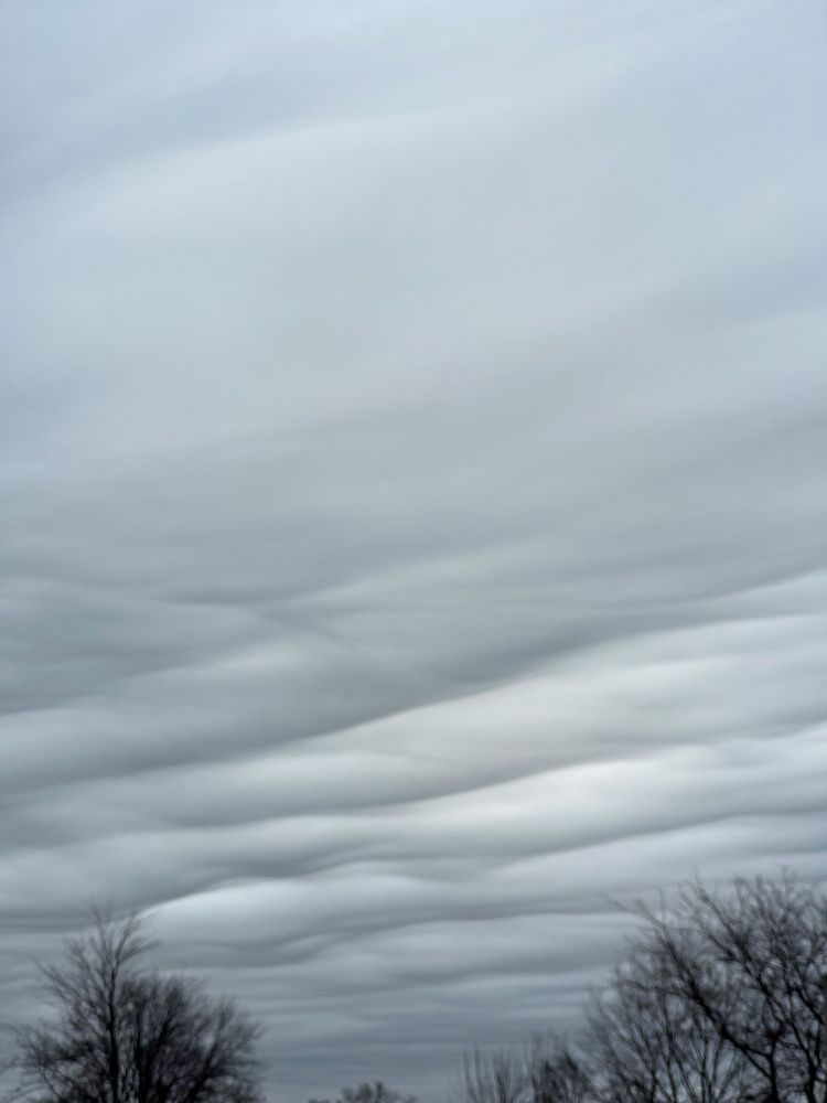 A gray cloudy sky with a ripple texture. At the bottom of the photo the tops of three bare trees poke up