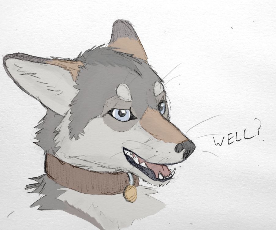 Digitally coloured headshot sketch of an anthro coyote in a collar 3/4s view, a sort of sly look on his face