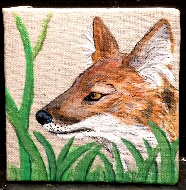 A small acrylic painting on a 4 by 4 inch
canvas, depicting a dhole portrait in profile,
with a neutral look, above some simply painted green grass
