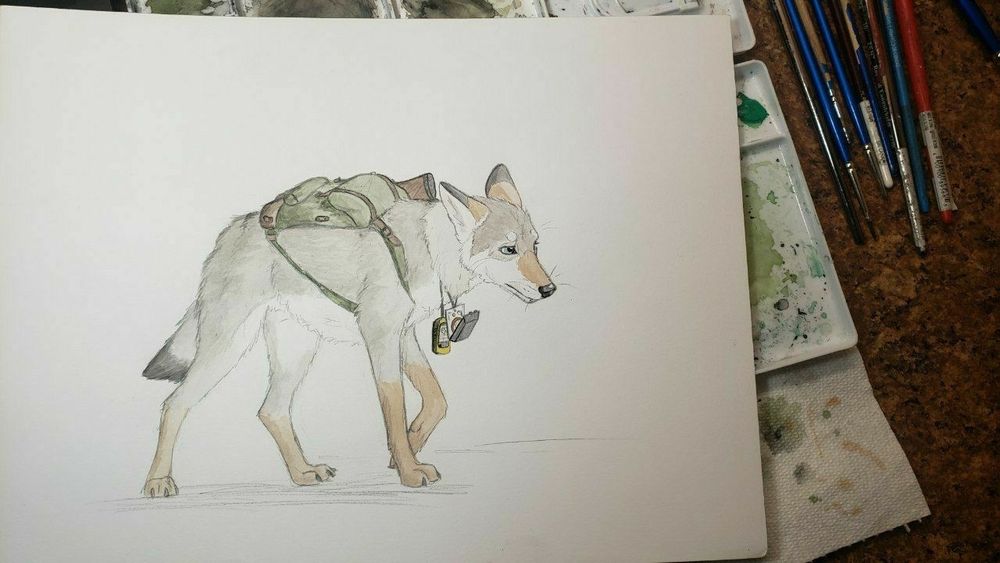 Traditional art of a coyote walking, wearing a backpack, a compass and gps on lanyards around his neck