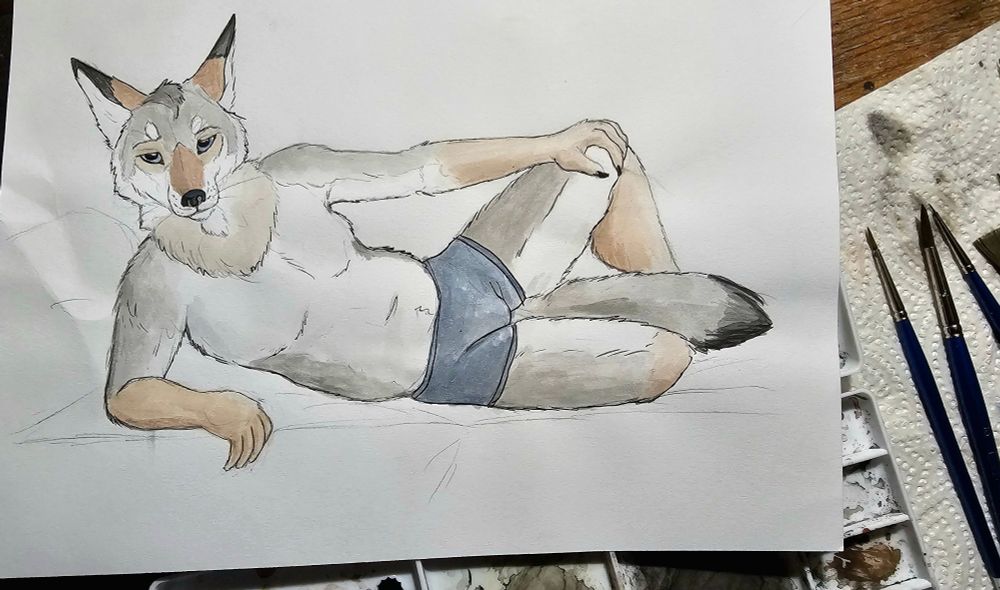 Traditional art of a chubby anthrk coyote man reclining in boxers 