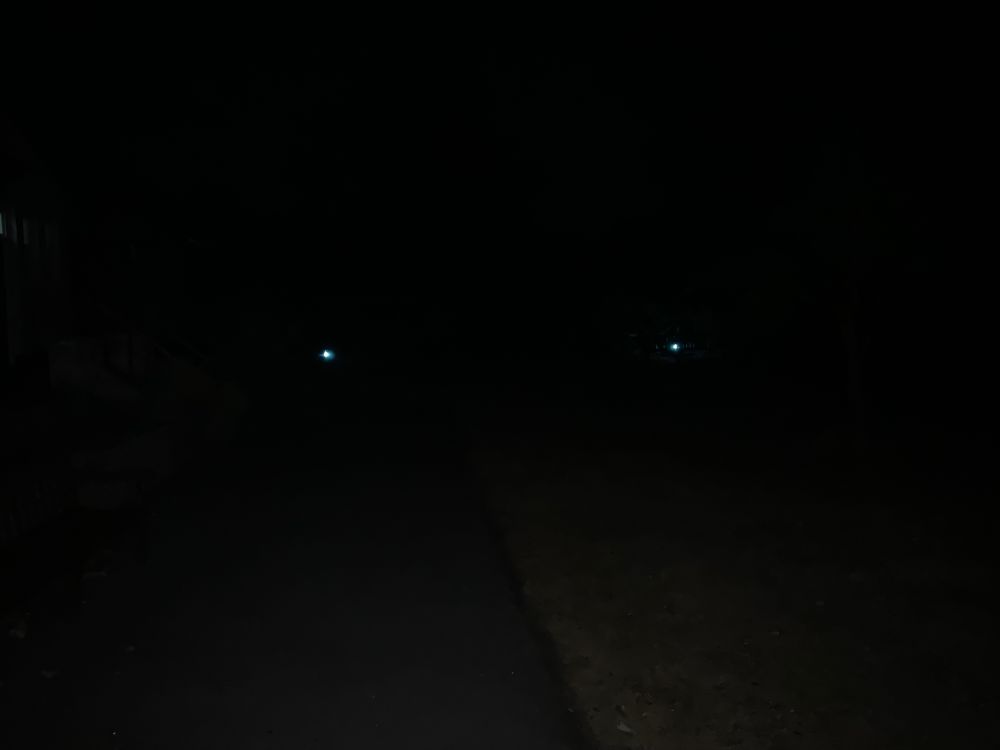 Two blueish dots, the UV lights of two moth traps, against a dark to black background, of the garden of Portsmouth Natural History Museum 