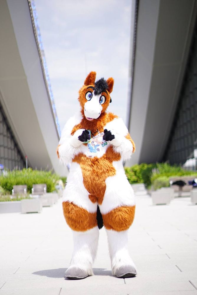 A super cute horse being cute and you need to pet him and feed him carrots.