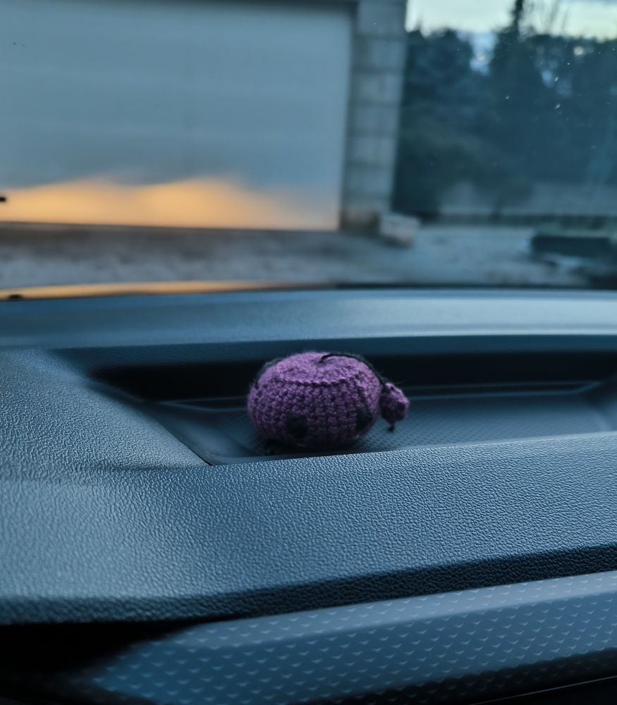 Un jumino de lana encima del salpicadero del coche