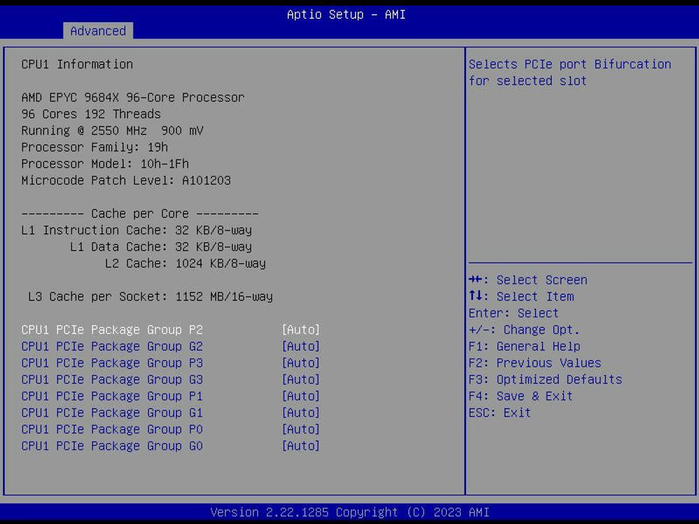 BIOS screenshot of a AMD EPYC 9684X 96 CPU page