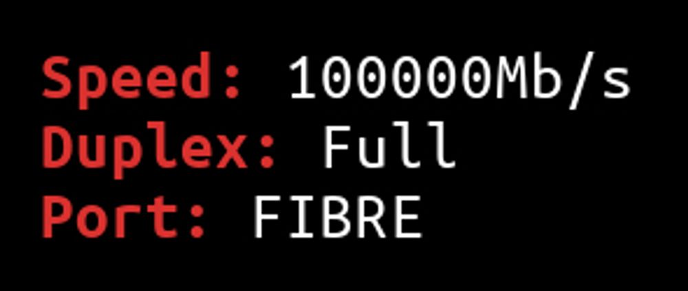 Screenshot showing ethtool output:

Speed: 100000Mb/s
Duplex: Full
Port: FIBRE