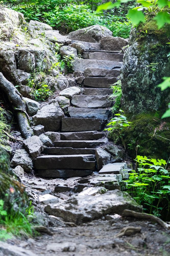 Stone stairs at Temperance River State Park