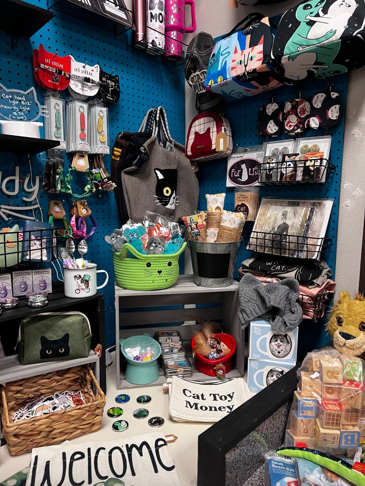 Cat-themed items for sale in Downtown Bryan shop. 
