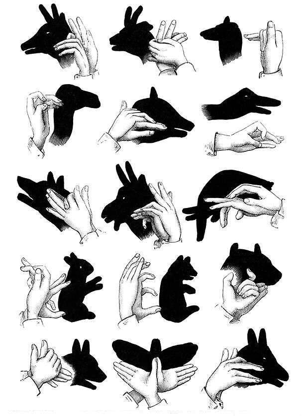 Esta imagem é um guia de instruções mostrando várias formas de criar sombras de animais usando as mãos. A composição inclui desenhos detalhados de mãos em diferentes posições, acompanhados das respectivas sombras que elas projetam, formando imagens que representam diversos animais. Os exemplos incluem:
	1.	Na parte superior, há representações de um cervo, um cachorro e um pássaro, com as mãos posicionadas para criar as formas específicas.
	2.	No centro, aparecem sombras de coelhos e outros animais pequenos, feitas com gestos simples.
	3.	Na parte inferior, há exemplos mais elaborados, como um cavalo e um pássaro com asas abertas, exigindo maior coordenação entre as mãos.

A ilustração é em preto e branco, com um contraste claro entre as sombras escuras e os desenhos detalhados das mãos. É uma representação artística e educativa, ideal para ensinar como criar sombras em paredes ou superfícies planas.