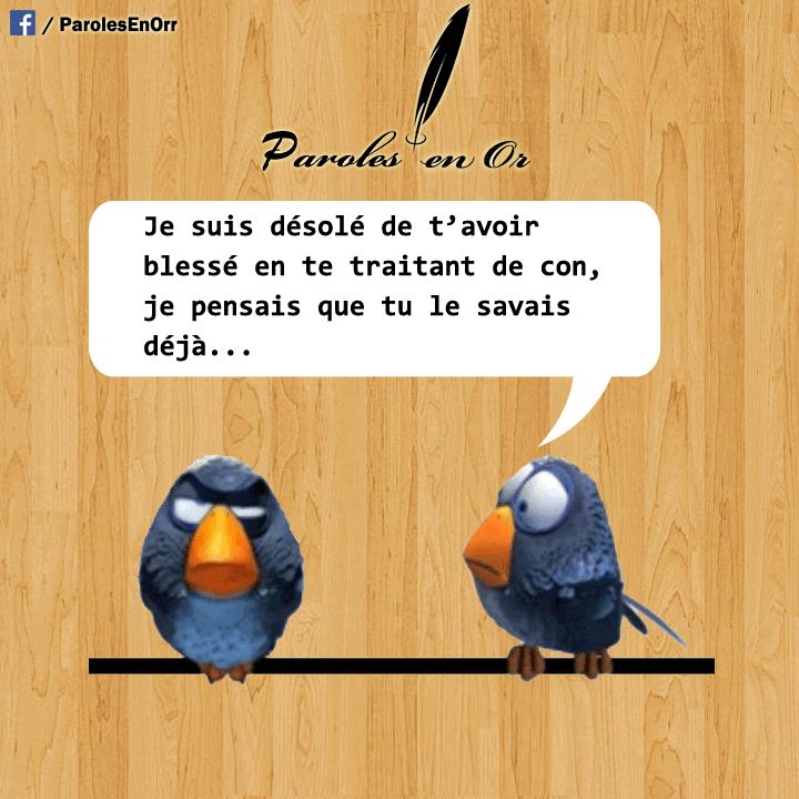 Je suis désolé de t'avoir blessé en te traitant de con, je pensais que tu le savais déjà...
