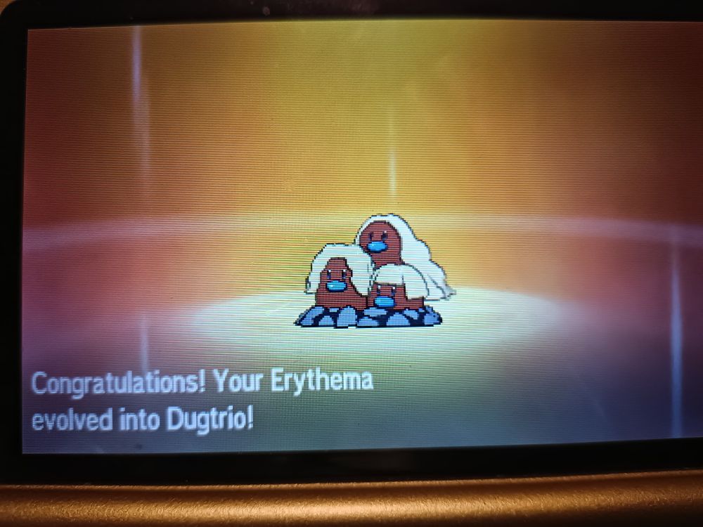 Shiny alolan Dugtrio evolution screen. "Congratulations! Your Erythema evolved into Dugtrio" written underneath