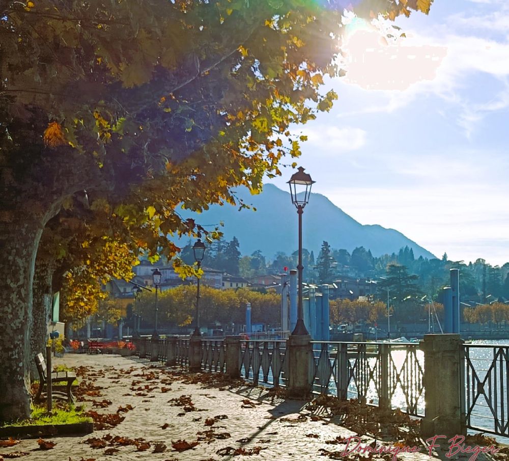 Lakeside walk, with big trees on the left, a few dry autumn leaves on the cobblestone path. arow of antique streetlights are seen near the water.