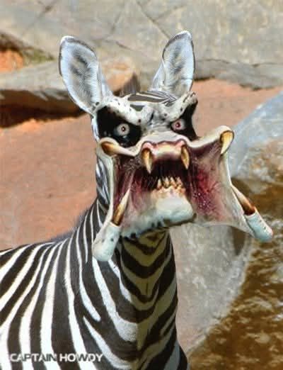 A photo of a zebra, but it's got a Predator's face. No idea why I did this.