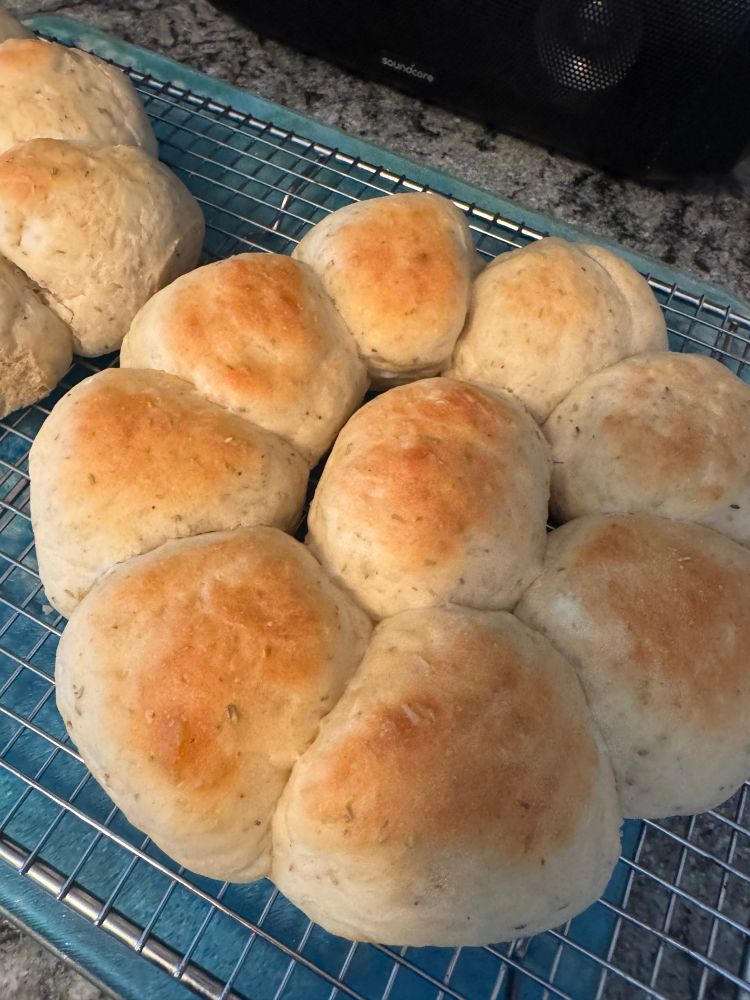 Rosemary dinner rolls.
