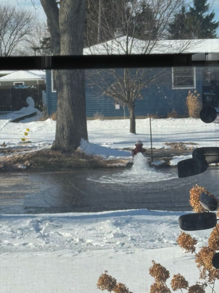 The street in front of my house being flooded as the water main is repaired.