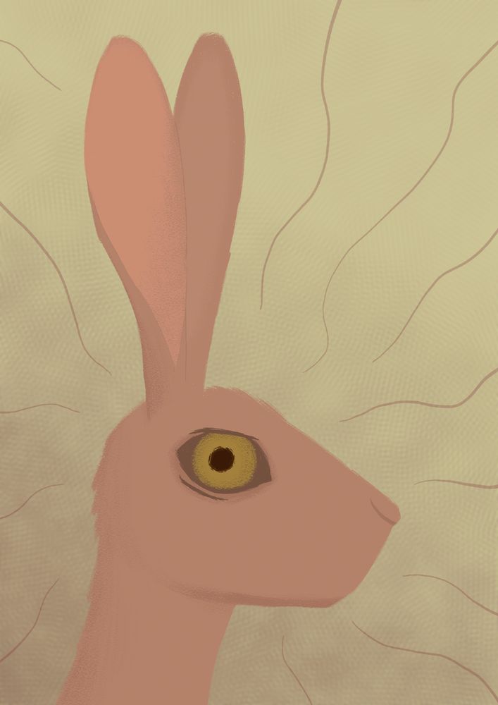 Artwork of a hare's head in side view. The gaze of its large eye is fixed on the viewer.
