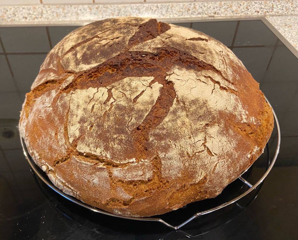 Ein frisch gebackenes Roggenmischbrot auf dem Abkühlgitter auf dem Ceranfeld.