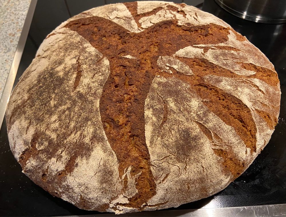 Aufsicht auf das Roggenmischbrot. Es liegt auf dem Ceranfeld.