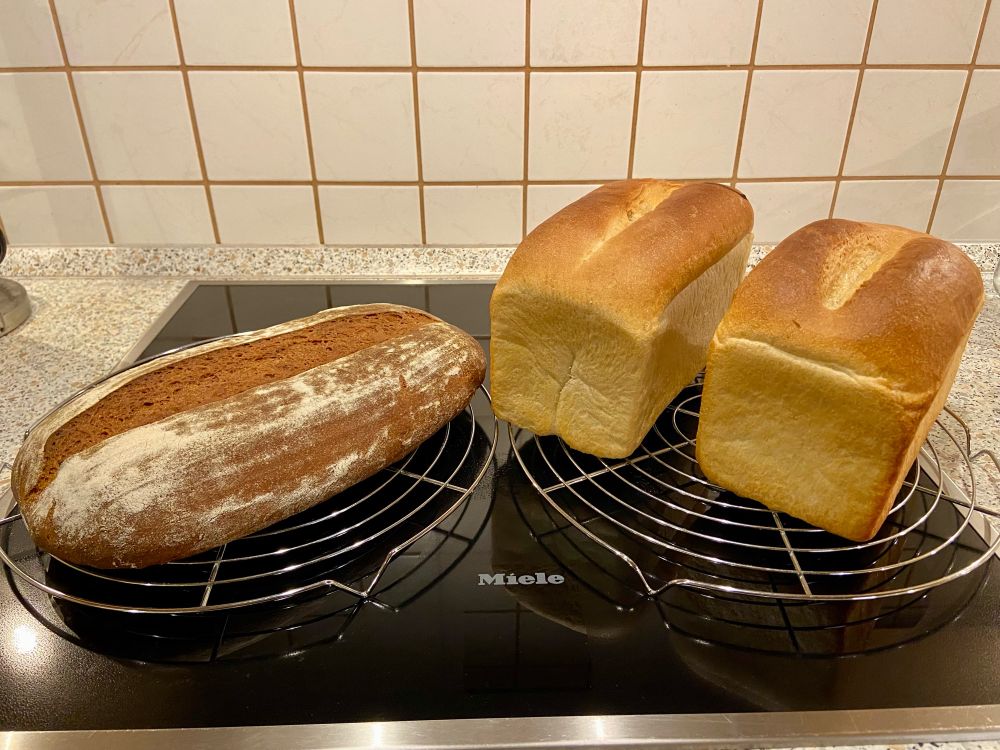 Blick auf den Herd mit zwei runden Gittern. Auf dem einen Gitter liegt ein längliches Roggenmischbrot und auf dem anderen zwei Kastenweißbrote.