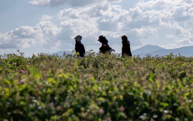 muART/shutterstock.com.