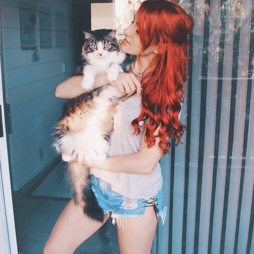 Pokket holding Lancelot.