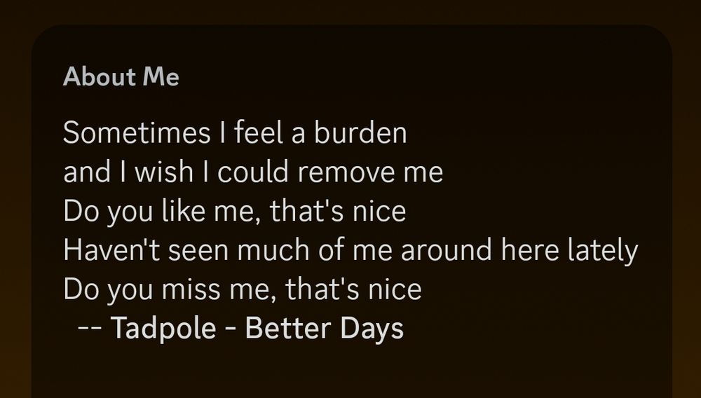 Plain text on a dark background reads "About Me" followed by lyrics from the song Better Days by an old New Zealand band called Tadpole.

Sometimes I feel a burden and I wish I could remove me. Do you like me, that's nice. Haven't seen much of me around here lately. Do you miss me, that's nice.
