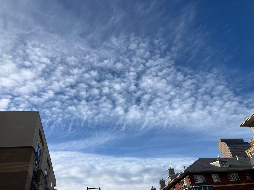 A photograph of a bank of high altitude clouds against a perfect blue sky. The clouds transition from wispy linear cirrus in the distance to dapples of almost low-density mammatus in the foreground.