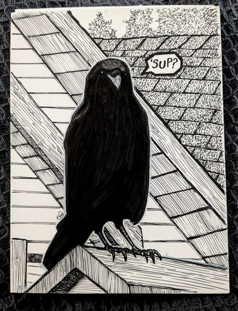 Black ink drawing of a crow sitting on a roof, a word bubble says "'sup?"