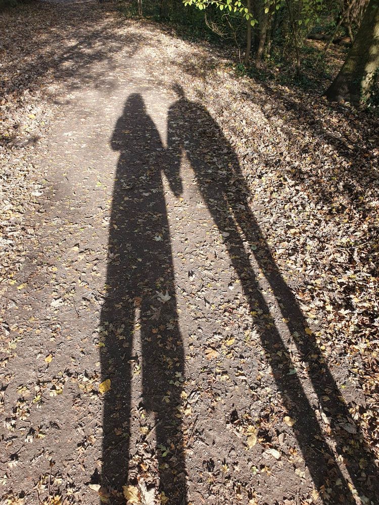 Schaduw van ons hand in hand op het wandepad