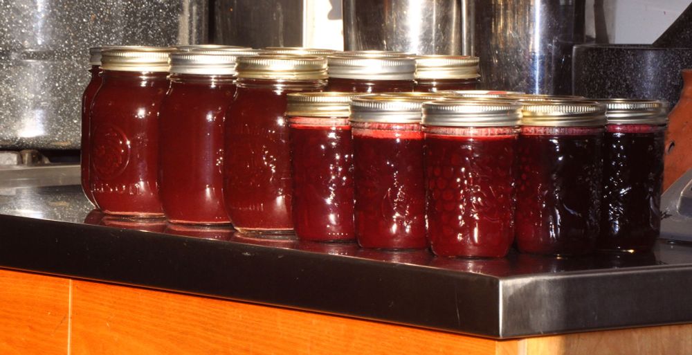 fruit syrup and jelly on my counter in the winter sun
